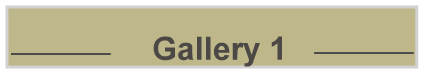 Gallery 1